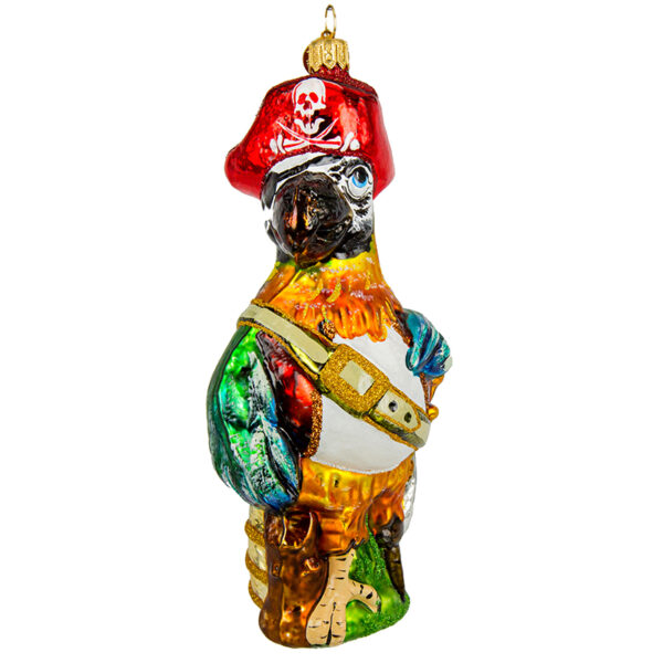 Collection Birds - Parrot Pirate Img 3839
