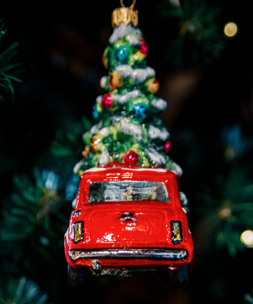 A Christmas drop  1k0a8417