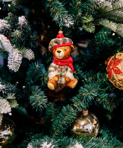 Teddy bear in a grid clothes  1k0a9746