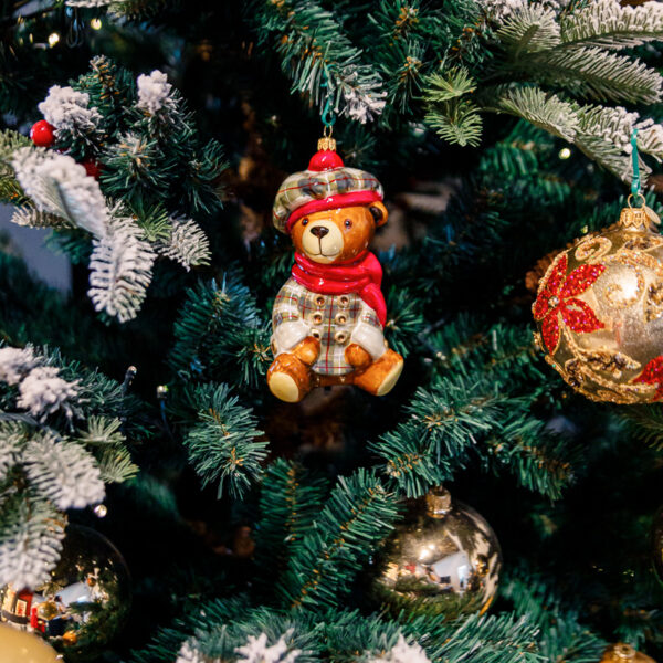 Teddy bear in a grid clothes 1k0a9746