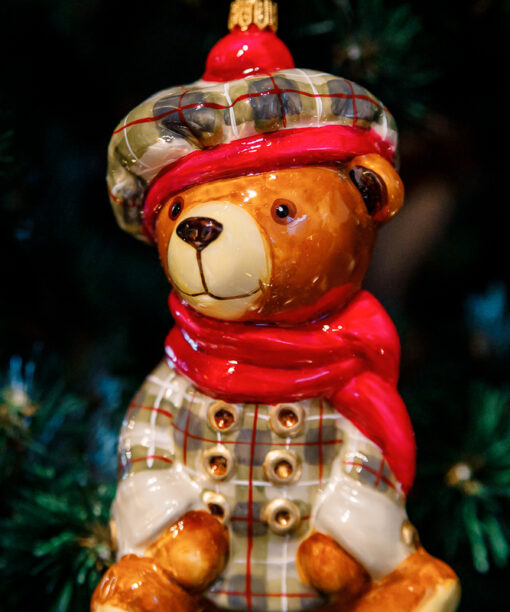 Teddy bear in a grid clothes  1k0a9748