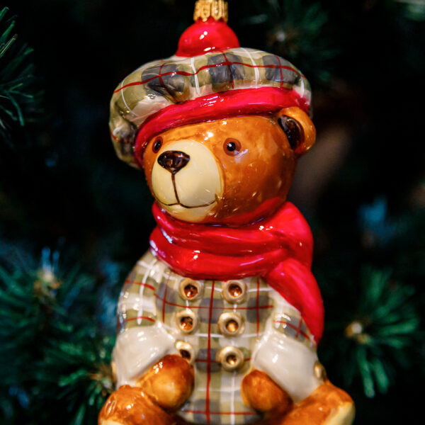 Teddy bear in a grid clothes 1k0a9748