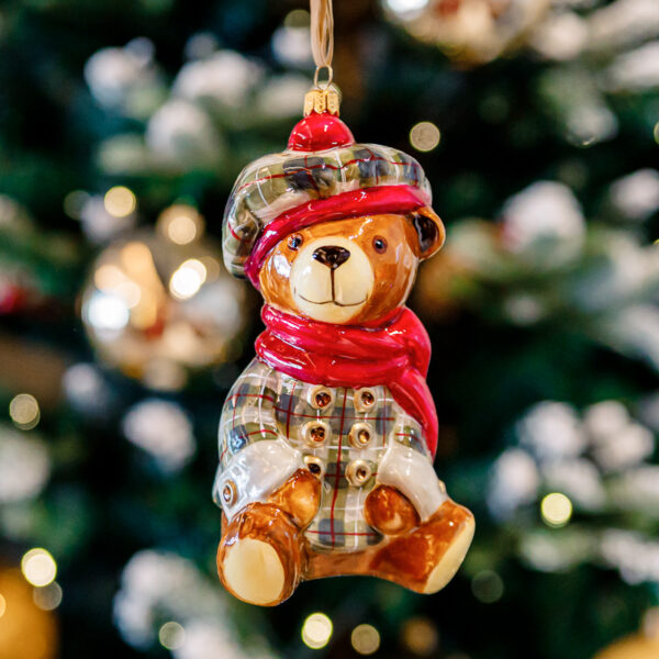 Teddy bear in a grid clothes 1k0a9765