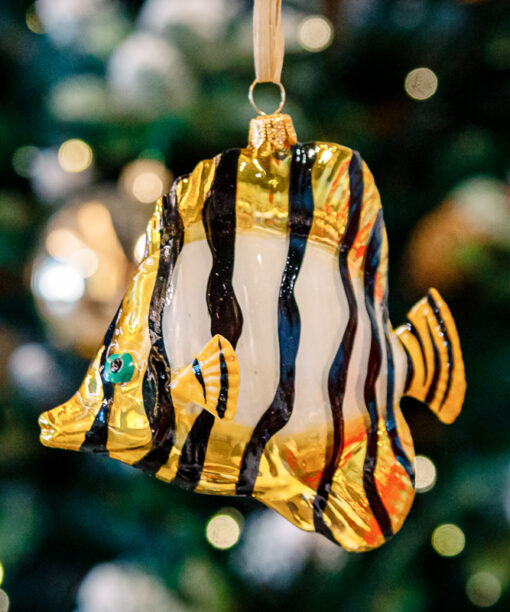 Tiger fish 1k0a9845