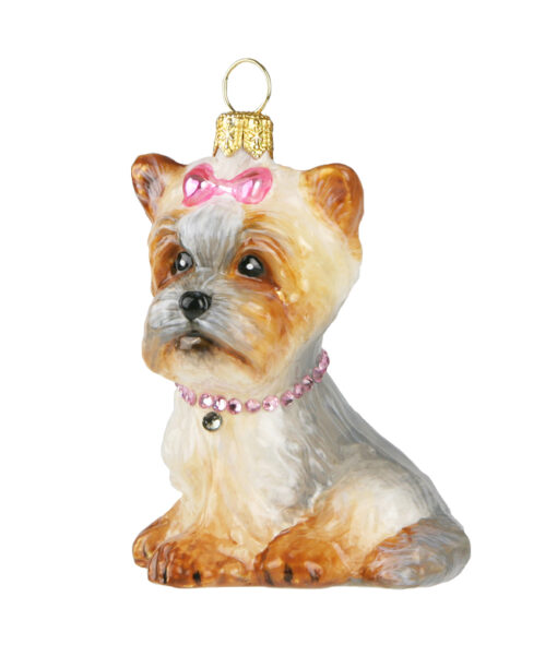Dogs Komozja - York puppy - pink bow 3853k05