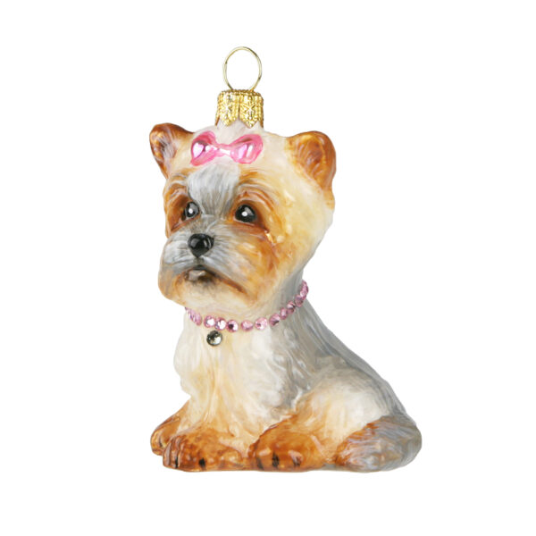 Dogs Komozja - York puppy - pink bow 3853k05