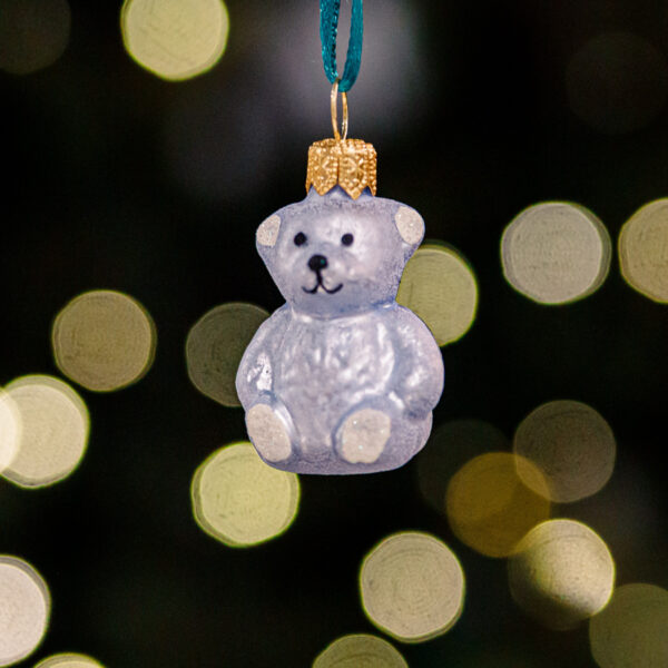 Mini - blue bear 1k0a3689