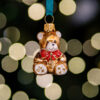 Mini - a brown bear 1k0a3709