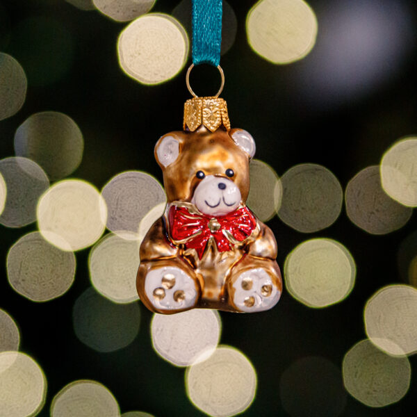 Mini - a brown bear 1k0a3709