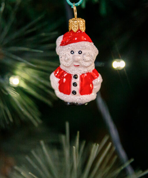 Mini - Santa Claus 1k0a3753