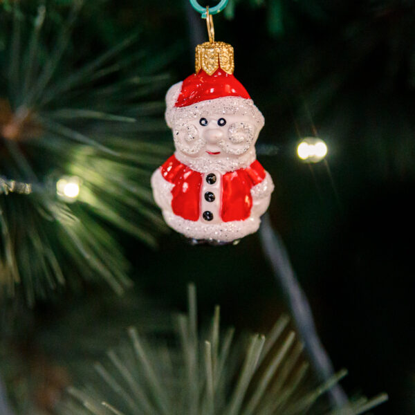 Mini - Santa Claus 1k0a3753