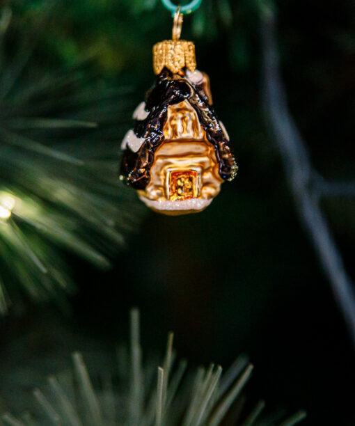 Mini - a brown house 1k0a3757