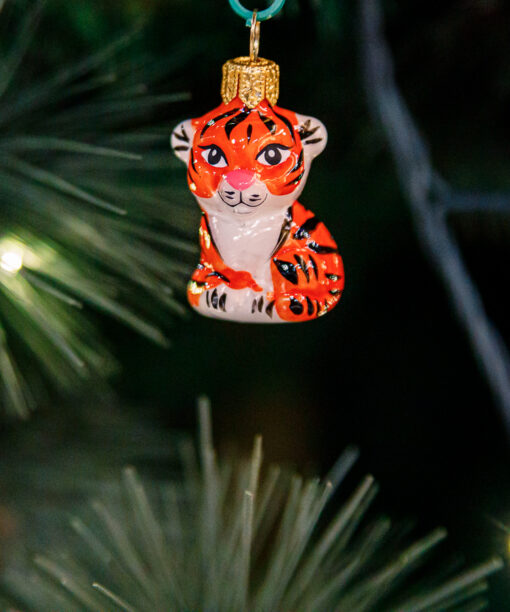 Mini - Tygrys 1k0a3758