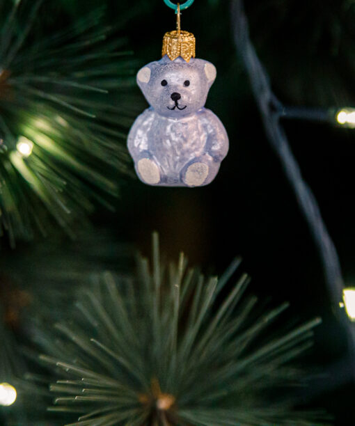 Mini - blue bear 1k0a3768