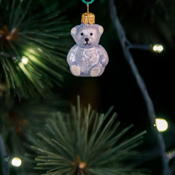 Mini - blue bear 1k0a3768