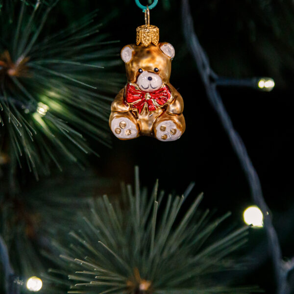 Mini - a brown bear 1k0a3770