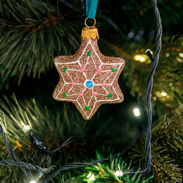 Gingerbread star 1k0a3783