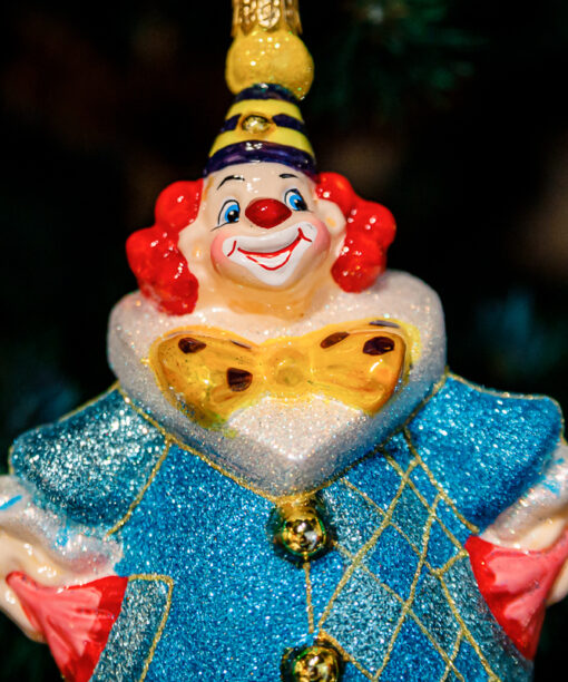 Clown with a bow  1k0a9796