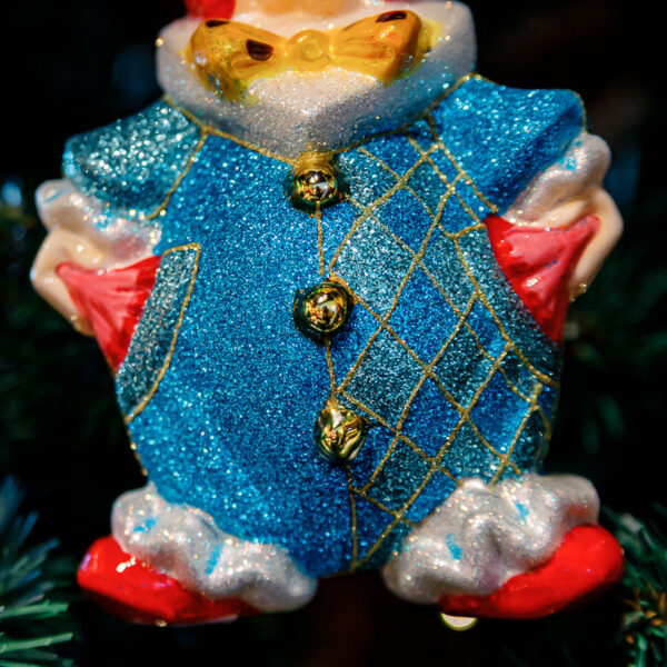 Clown with a bow 1k0a9798