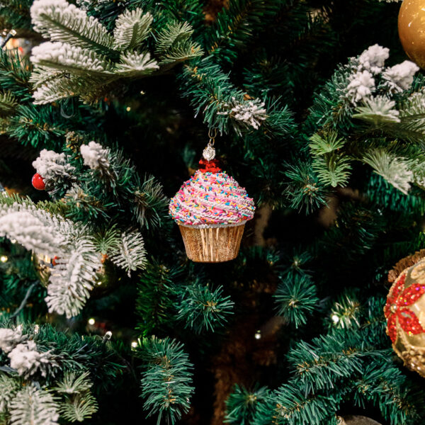 Cupcake 1k0a5921