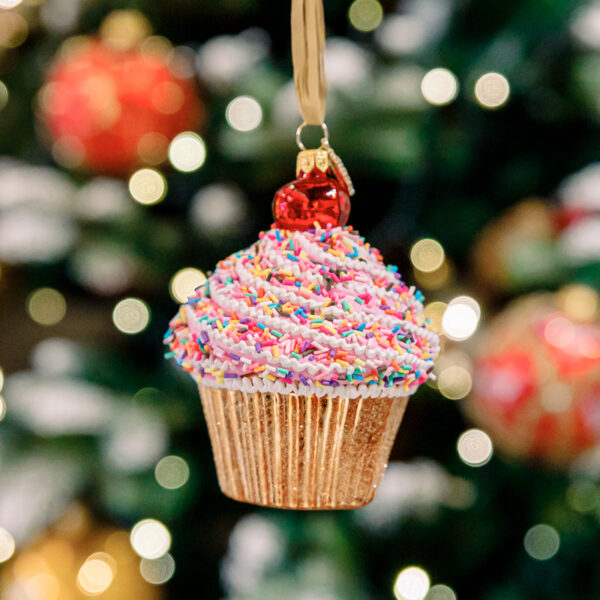 Cupcake 1k0a5942