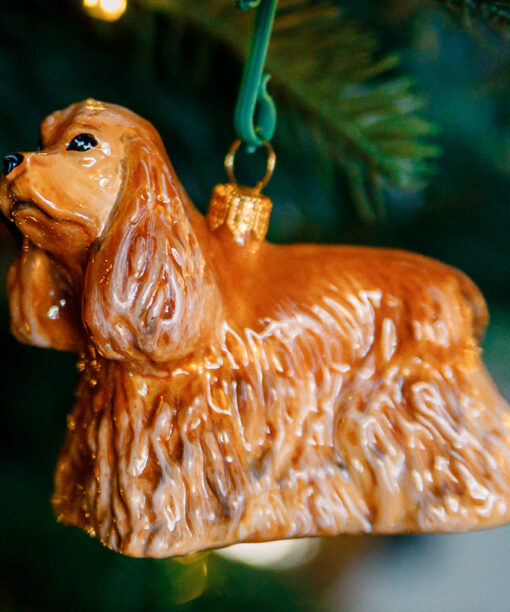 Komozja - Psy - Cocker spaniel Vincenty  1k0a7361