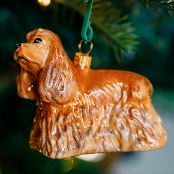 Komozja - Psy - Cocker spaniel Vincenty 1k0a7361