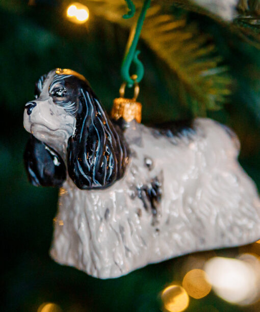 White- black cocker spaniel Rasco  1k0a7365