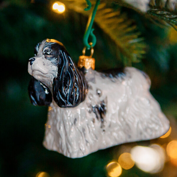 White- black cocker spaniel Rasco 1k0a7365