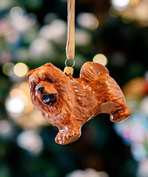 Brown chow-chow 1k0a8464