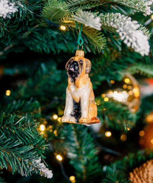 Dogs Komozja - Saint Bernard  1k0a6875