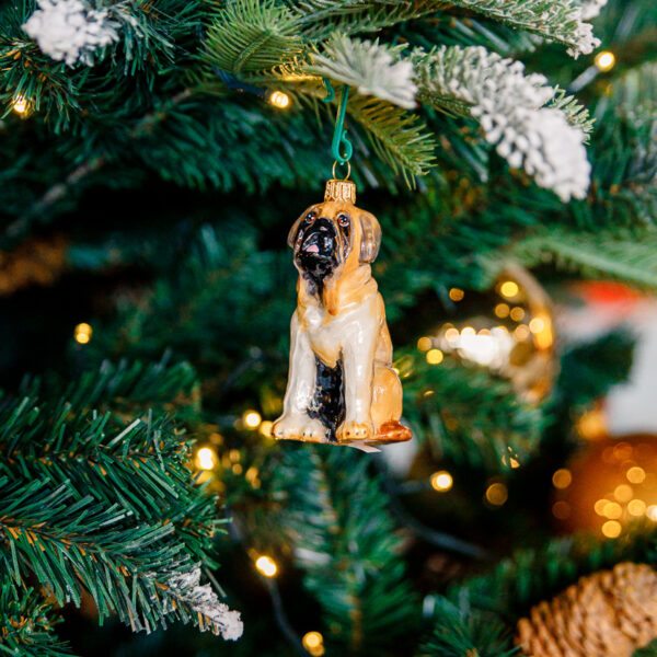 Dogs Komozja - Saint Bernard 1k0a6875