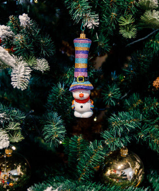 Snowman in a long hat  1k0a8194