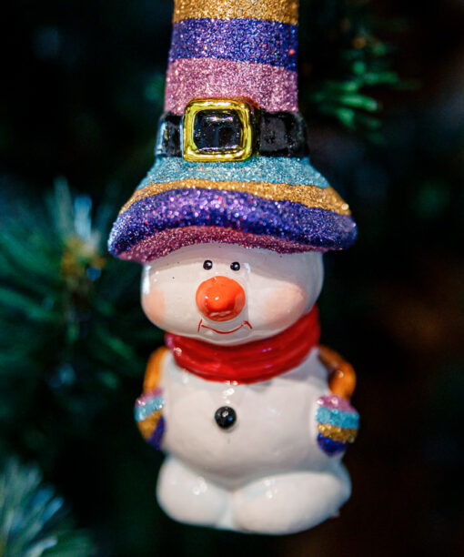Snowman in a long hat  1k0a8195