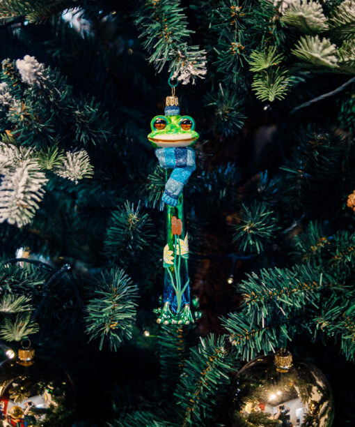 A pistil frog  1k0a8197