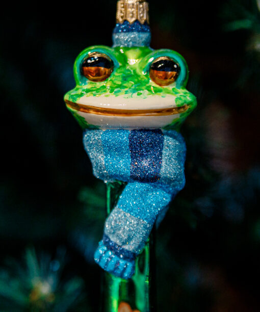 A pistil frog  1k0a8198