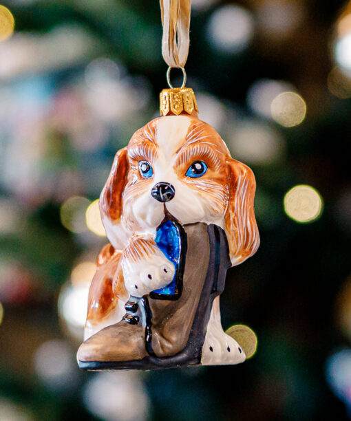 A doggy gourmand 1k0a8511