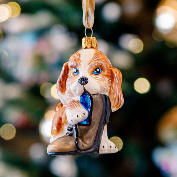 A doggy gourmand 1k0a8511