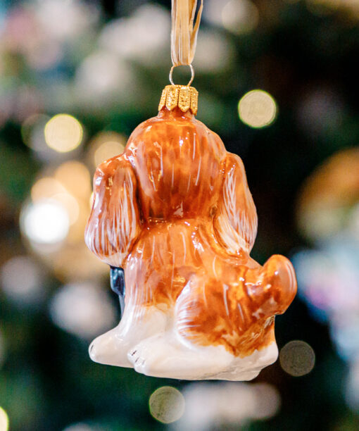 A doggy gourmand 1k0a8514