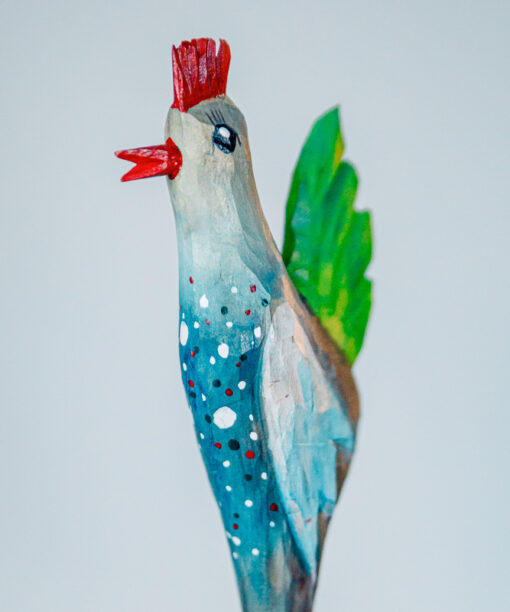 Blue chanterelle  1k0a6264