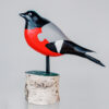 Red wooden bullfinch bird  1k0a6629