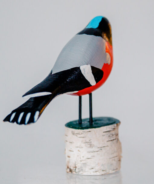 Red wooden bullfinch bird  1k0a6631