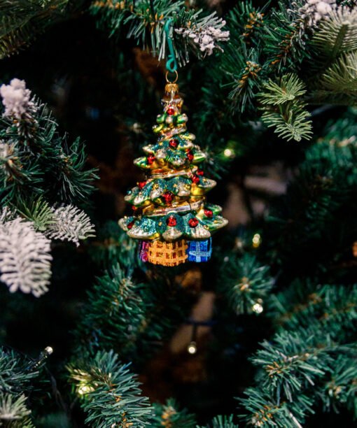 Dream Christmas tree  1k0a7805