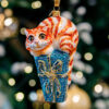 Ginger cat on a gift  1k0a7821
