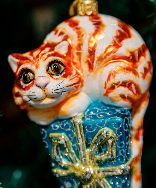 Ginger cat on a gift  1k0a7825