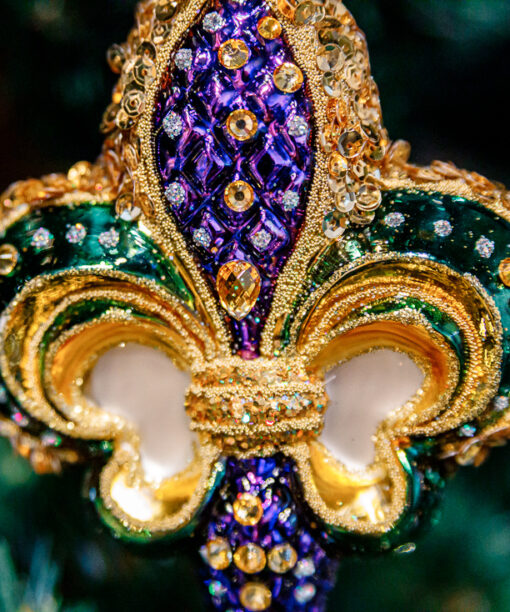 Lily of the Bourbons 1k0a7833