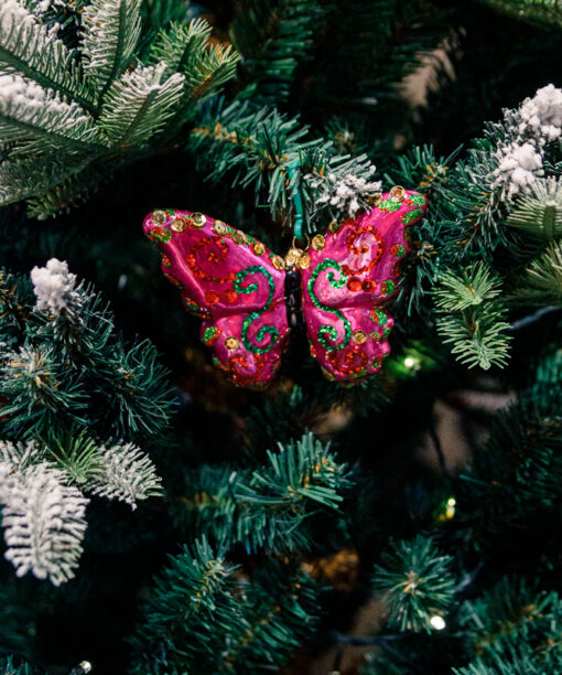 Pink butterfly  1k0a7839