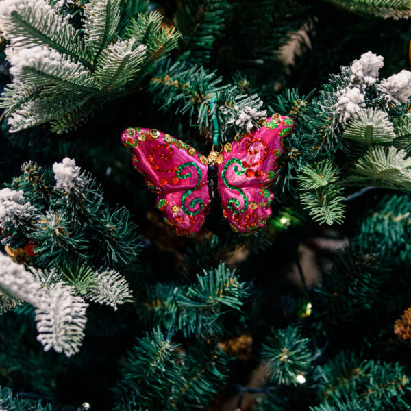 Pink butterfly 1k0a7839