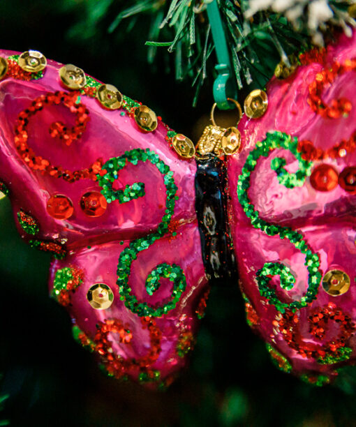 Pink butterfly  1k0a7840