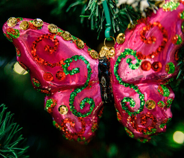 Pink butterfly 1k0a7840